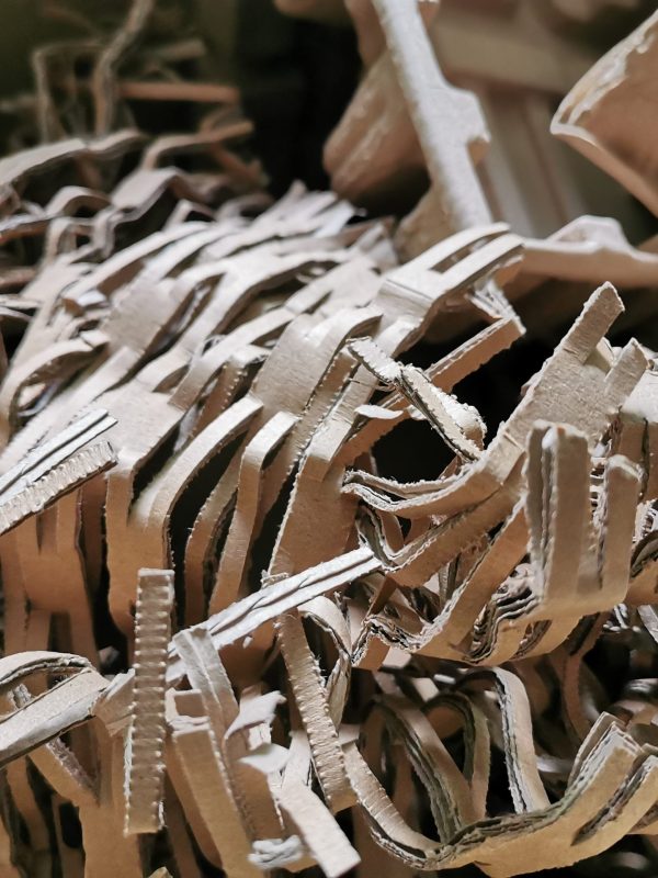 envato_X49L52R_1762764943